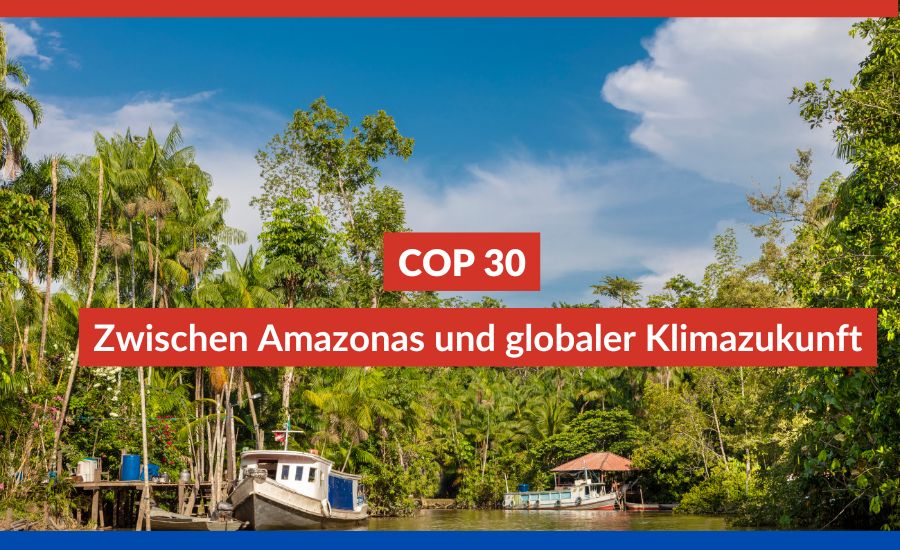 Das Bild zeigt den Amazonas.