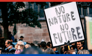 Auf dem Bild ist ein Demoschild zu sehen mit der Aufschrift "No Nature, No Future"