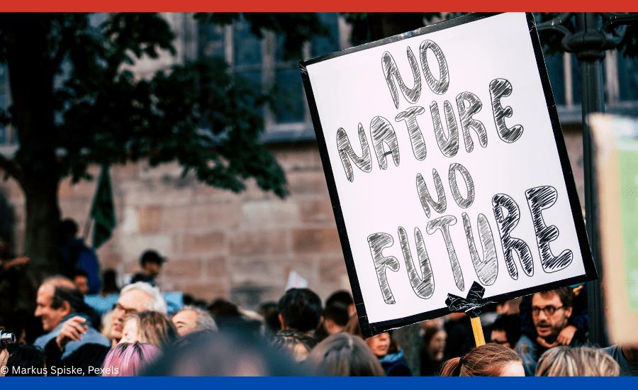 Auf dem Bild ist ein Demoschild zu sehen mit der Aufschrift "No Nature, No Future"
