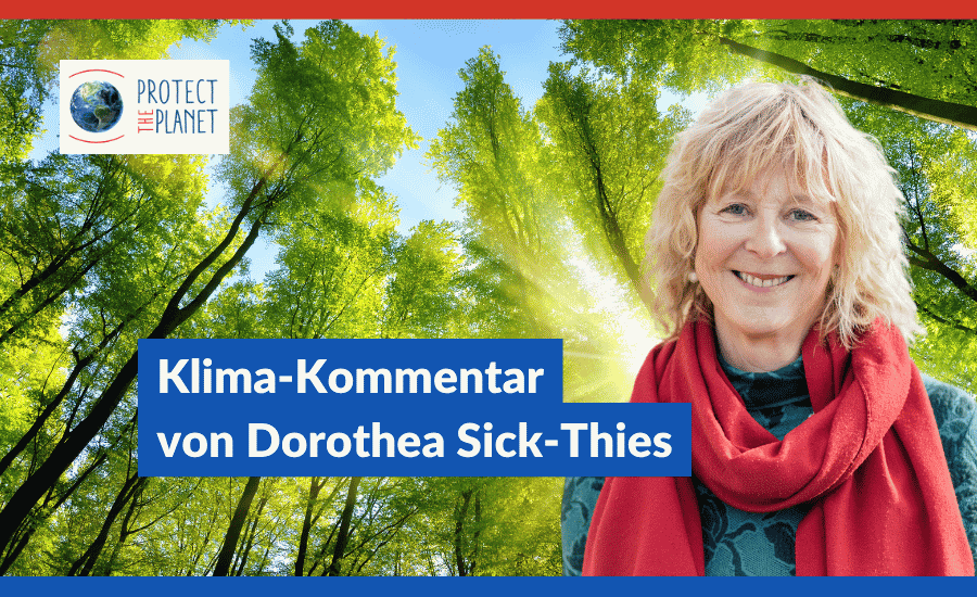Man sieht Dorothea Sick-Thies vor sonnenbeleuchteten jungen Bäumen. Dazu der Text: Klimakommentar von Dorothea Sick-Thies