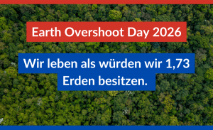 Auf dem Bild ist der Amazonas in Vogelperspektive zu sehen.