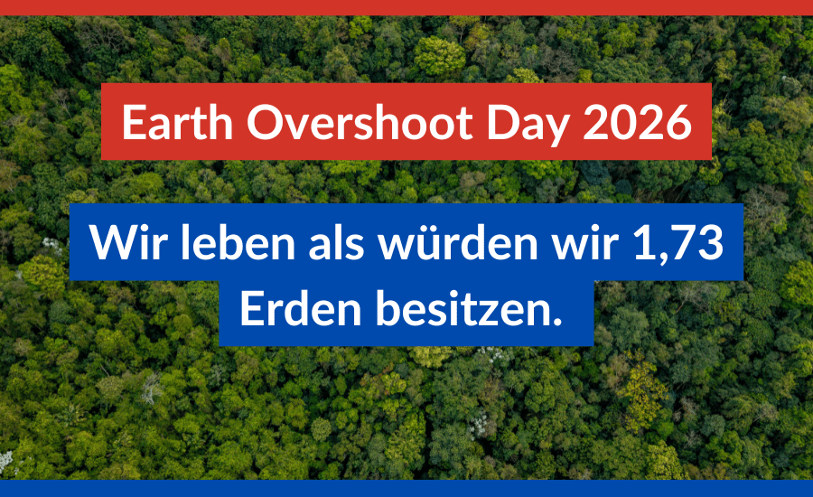 Auf dem Bild ist der Amazonas in Vogelperspektive zu sehen.